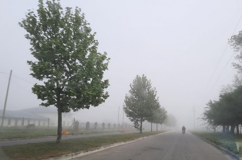 Neblina, templado y con posibles lluvias en el centro bonaerense